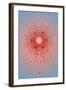 Beryl, X-Ray Diffraction-Science Source-Framed Giclee Print