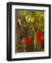 Beside the Potting Shed painting-Helen White-Framed Giclee Print