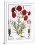Gramercy White