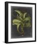 Besler Dramatique IV-Vision Studio-Framed Art Print