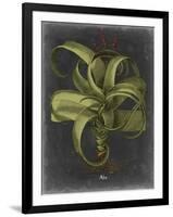 Besler Dramatique IV-Vision Studio-Framed Art Print