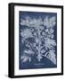 Besler Leaves in Indigo II-Vision Studio-Framed Art Print