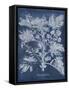 Besler Leaves in Indigo II-Vision Studio-Framed Stretched Canvas