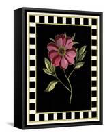 Besler Pink Peony I-Besler Basilius-Framed Stretched Canvas