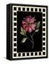 Besler Pink Peony I-Besler Basilius-Framed Stretched Canvas