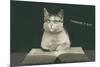 Bespectacled Cat, Thinking it Out-null-Mounted Art Print