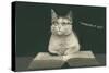 Bespectacled Cat, Thinking it Out-null-Stretched Canvas