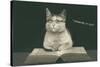 Bespectacled Cat, Thinking it Out-null-Stretched Canvas