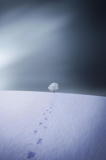 Photographic Print, , large