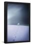 Essential Black
