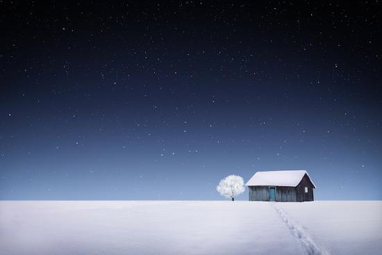 Premium Photographic Print, , large