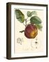 Bessa Apples-Bessa-Framed Art Print