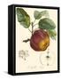 Bessa Apples-Bessa-Framed Stretched Canvas