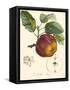 Bessa Apples-Bessa-Framed Stretched Canvas