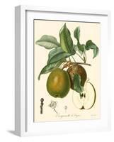 Bessa Pears-Bessa-Framed Art Print