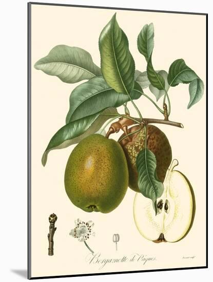 Bessa Pears-Bessa-Mounted Art Print