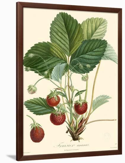 Bessa Strawberries-Bessa-Framed Art Print