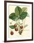 Bessa Strawberries-Bessa-Framed Art Print