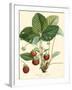 Bessa Strawberries-Bessa-Framed Art Print