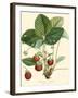 Bessa Strawberries-Bessa-Framed Art Print