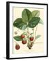 Bessa Strawberries-Bessa-Framed Art Print