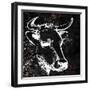 Bessie 1-Kimberly Allen-Framed Art Print