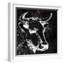 Bessie 1-Kimberly Allen-Framed Art Print