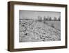 Bessie Levee on the Mississippi River augmented with sand bags during the flood by Tiptonville, TN-Walker Evans-Framed Photographic Print