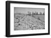 Bessie Levee on the Mississippi River augmented with sand bags during the flood by Tiptonville, TN-Walker Evans-Framed Photographic Print