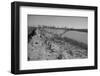 Bessie Levee on the Mississippi River augmented with sand bags during the flood by Tiptonville, TN-Walker Evans-Framed Photographic Print