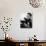 Bessie Smith (1894-1937)-Carl Van Vechten-Giclee Print displayed on a wall