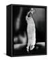 Bessie Smith, American Blues Singer-Science Source-Framed Stretched Canvas