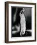 Bessie Smith, American Blues Singer-Science Source-Framed Giclee Print