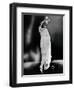 Bessie Smith, American Blues Singer-Science Source-Framed Giclee Print