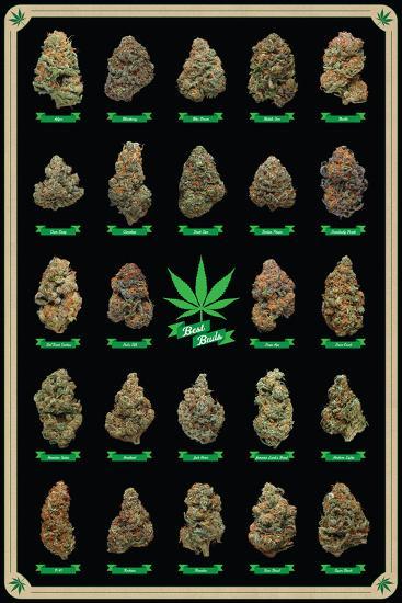 Poster, , large