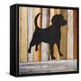 Best Friend II-Patricia Pinto-Framed Stretched Canvas