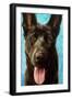 Best Friend II-Walt Johnson-Framed Art Print