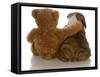 Best Friends - English Bulldog Puppy Sitting Beside Bear-Willee Cole-Framed Stretched Canvas