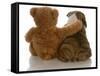 Best Friends - English Bulldog Puppy Sitting Beside Bear-Willee Cole-Framed Stretched Canvas