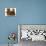 Best Friends - English Bulldog Puppy Sitting Beside Bear-Willee Cole-Photographic Print displayed on a wall