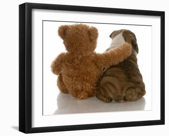 Best Friends - English Bulldog Puppy Sitting Beside Bear-Willee Cole-Framed Photographic Print