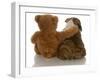 Best Friends - English Bulldog Puppy Sitting Beside Bear-Willee Cole-Framed Photographic Print