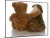 Best Friends - English Bulldog Puppy Sitting Beside Bear-Willee Cole-Mounted Photographic Print