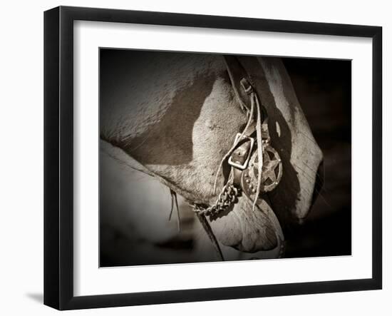 Best Friends-Dan Ballard-Framed Photographic Print