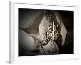 Best Friends-Dan Ballard-Framed Photographic Print