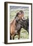 Best Friends-Danny Head-Framed Photographic Print