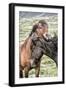 Best Friends-Danny Head-Framed Photographic Print