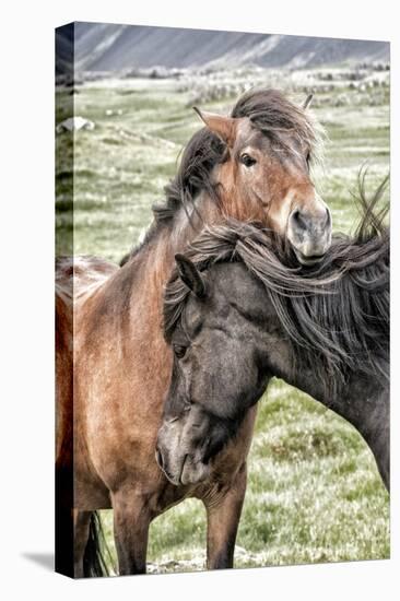 Best Friends-Danny Head-Stretched Canvas