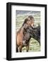 Best Friends-Danny Head-Framed Photographic Print