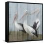 Best Friends-Kimberly Allen-Framed Stretched Canvas